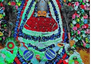 भक्तों को दर्शन देने के लिए नगर भ्रमण किया सांवरा सेठ ने , एकादशी को उमड़ा भक्तों का जनसैलाब