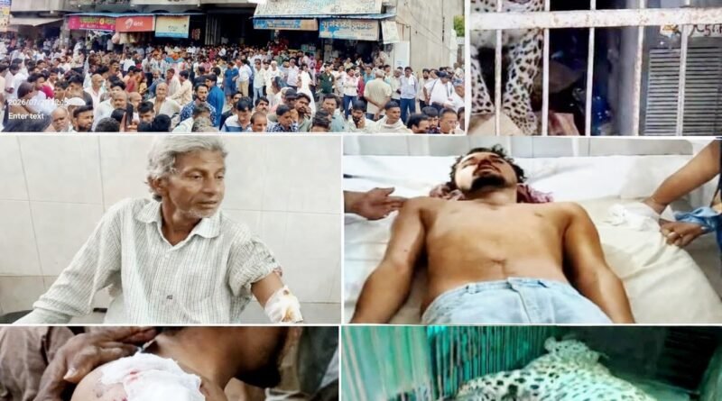 आबादी क्षेत्र में पहुंचा पैंथर, तीन जनों को किया घायल